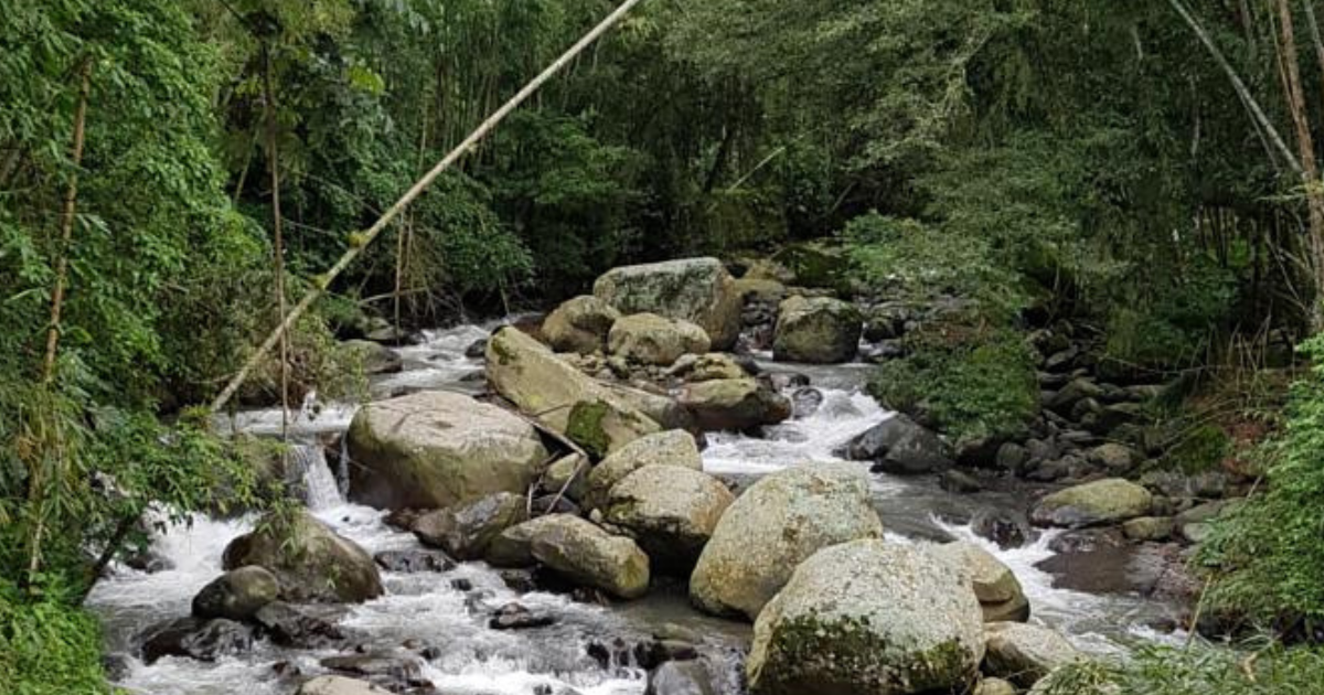 Ríos imperdibles para nadar cerca de Bogotá, a menos de 3 horas Ríos imperdibles para nadar cerca de Bogotá, a menos de 3 horas