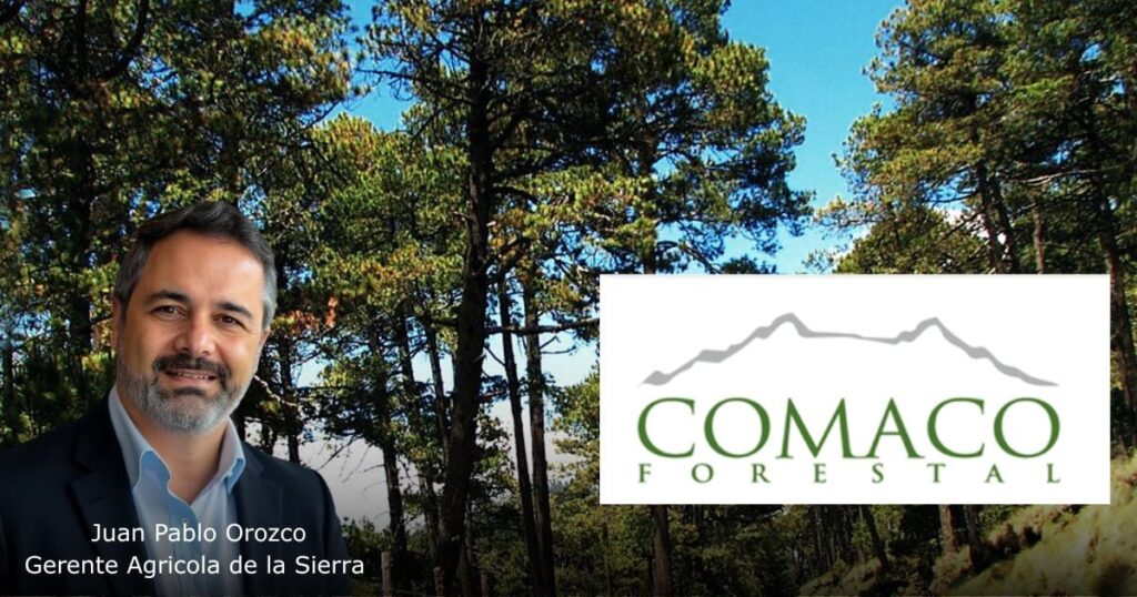 Una empresa maderera chilena que llegó a Colombia hace 20 años planea invertir USD 15 millones en Antioquia Una empresa maderera chilena que llegó a Colombia hace 20 años planea invertir USD 15 millones en Antioquia
