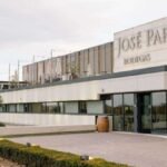 De viñedo a ecosistema: 31.500 plantas transforman un viñedo en un laboratorio verde