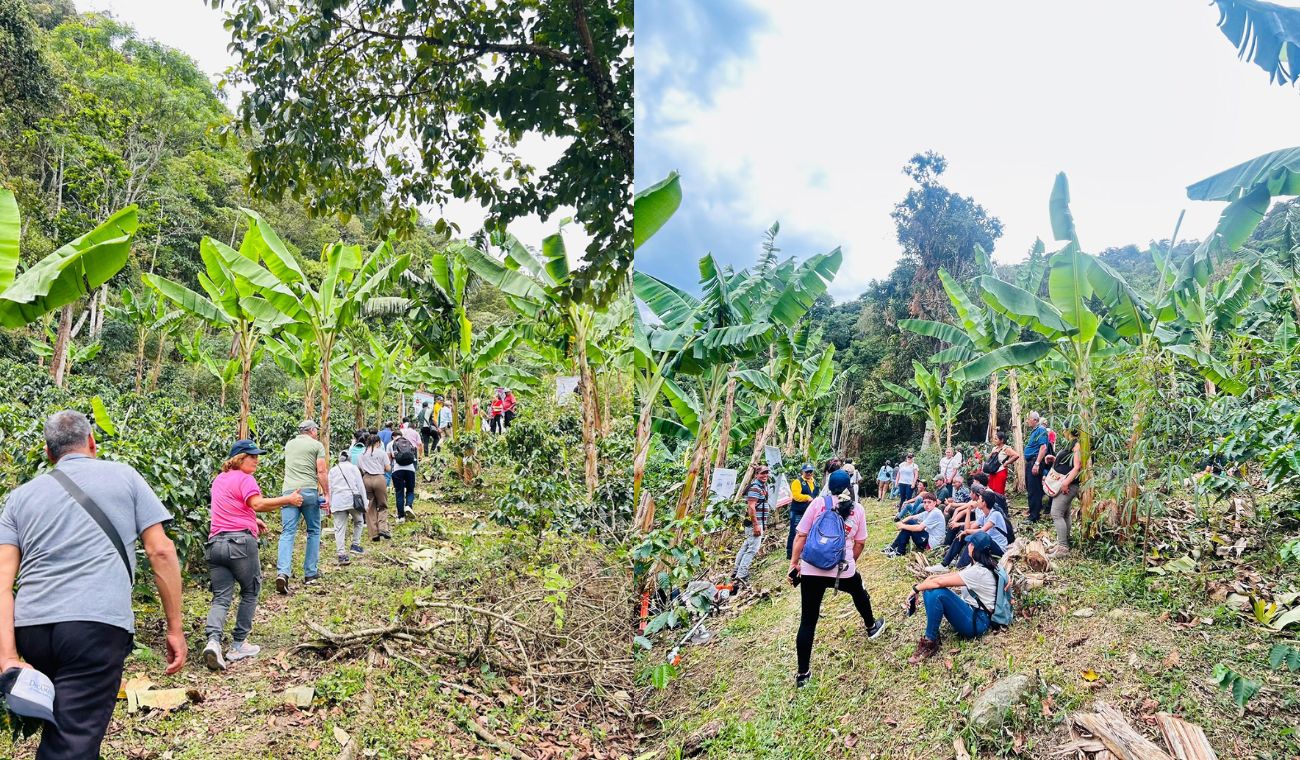 Campesinos de Cundinamarca se ponen al día: les llegó tecnología de punta Campesinos de Cundinamarca se ponen al día: les llegó tecnología de punta