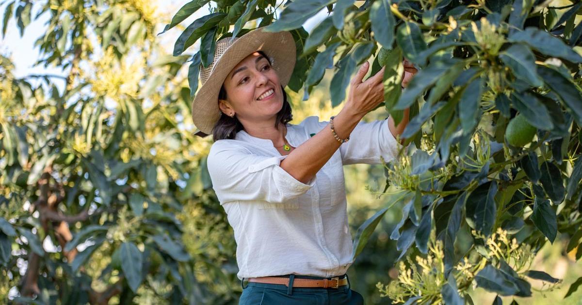 Antioquia: “Un paso histórico para el sector”: Corpohass