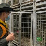 Antioquia: Indignación or nuevo caso de crueldad animal