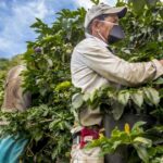 Noticias Antioquia: Rescatan la Cooperativa de Andes, Antioquia