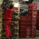 Precios en Corabastos este 6 de noviembre: alimentos que más bajaron HOY