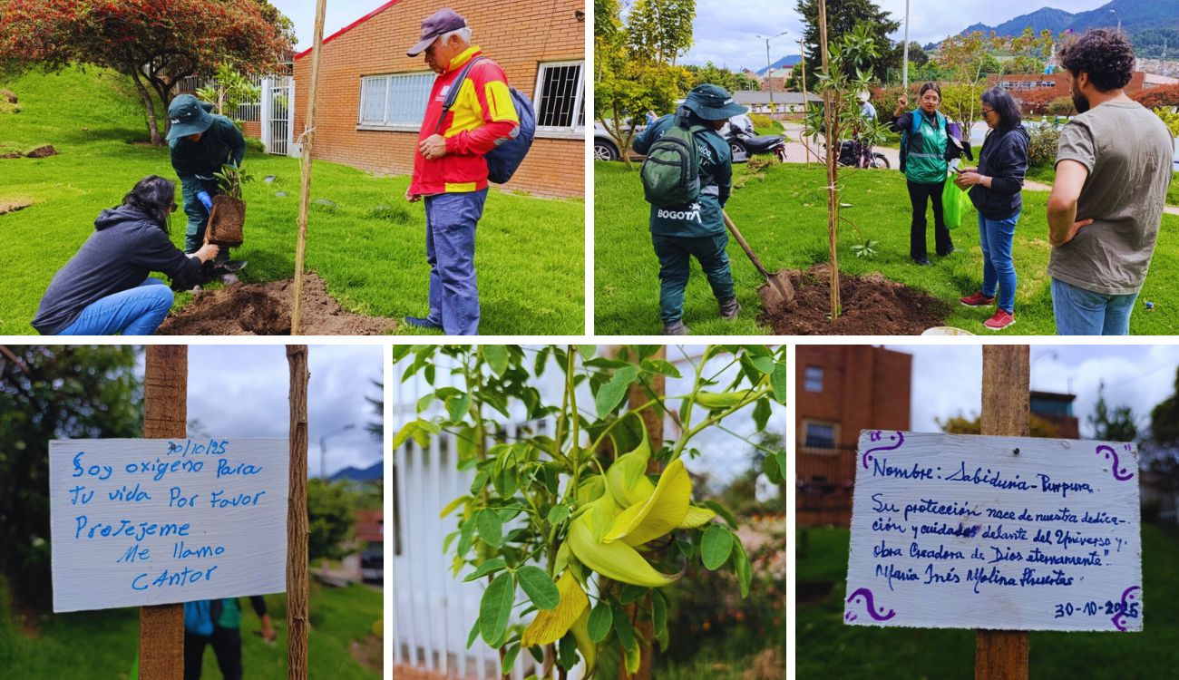 Más verde en San Cristóbal: Parque San Blas estrena árboles y flores Más verde en San Cristóbal: Parque San Blas estrena árboles y flores
