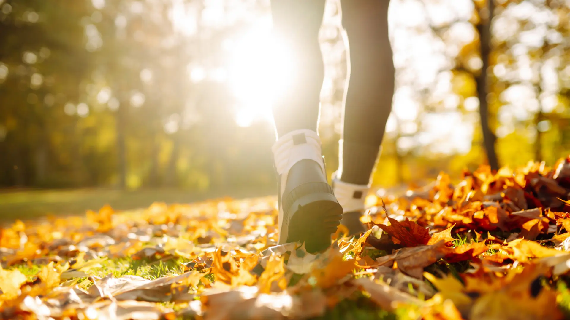 «Solo caminar no aumenta significativamente la densidad mineral ósea» «Solo caminar no aumenta significativamente la densidad mineral ósea»