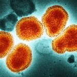 La variante K de la gripe A acelera la transmisión y eleva la presión asistencial, según médicos de Urgencias