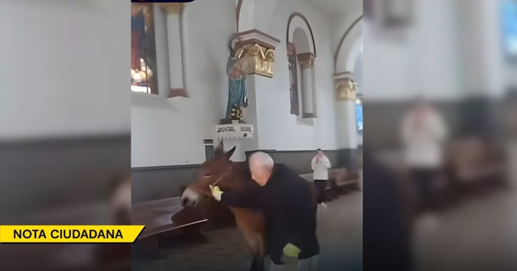 Así fue como un potro se coló en una iglesia de La Ceja justo antes de misa Así fue como un potro se coló en una iglesia de La Ceja justo antes de misa