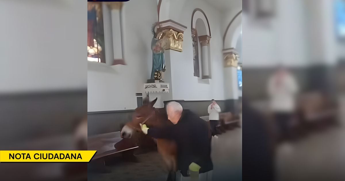 Así fue como un potro se coló en una iglesia de La Ceja justo antes de misa Así fue como un potro se coló en una iglesia de La Ceja justo antes de misa