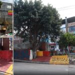 Cómo se han recuperado cientos de puntos críticos de acumulación de basuras en el oriente de Bogotá