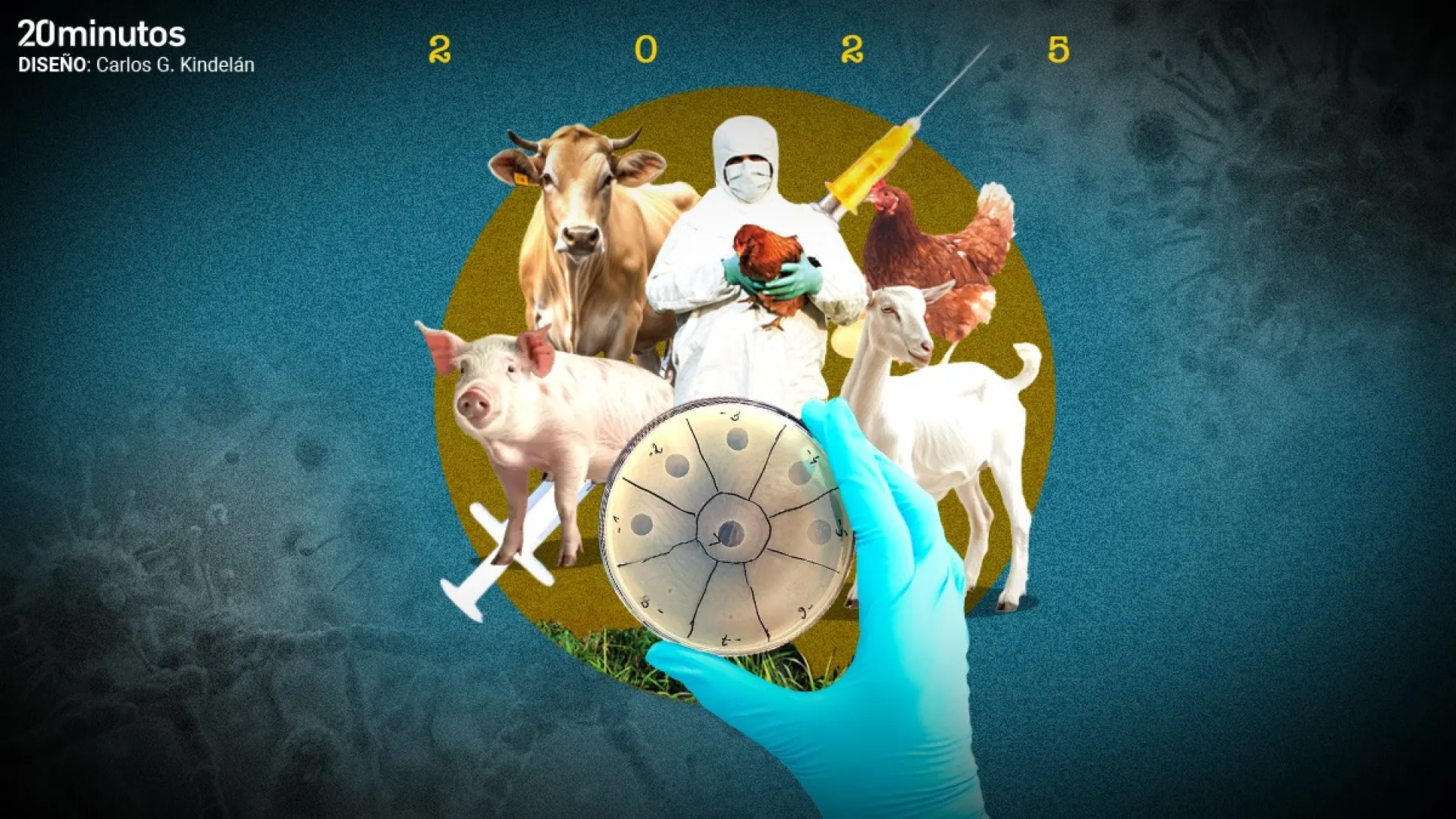 Gripe aviar, dermatosis, peste porcina, lengua azul… el año 2025 que vivimos peligrosamente en las granjas