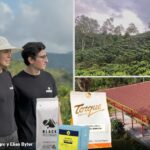 La familia tolimense que cambió sus fallidos cultivos de aguacate para mandar en la producción de café de alta calidad