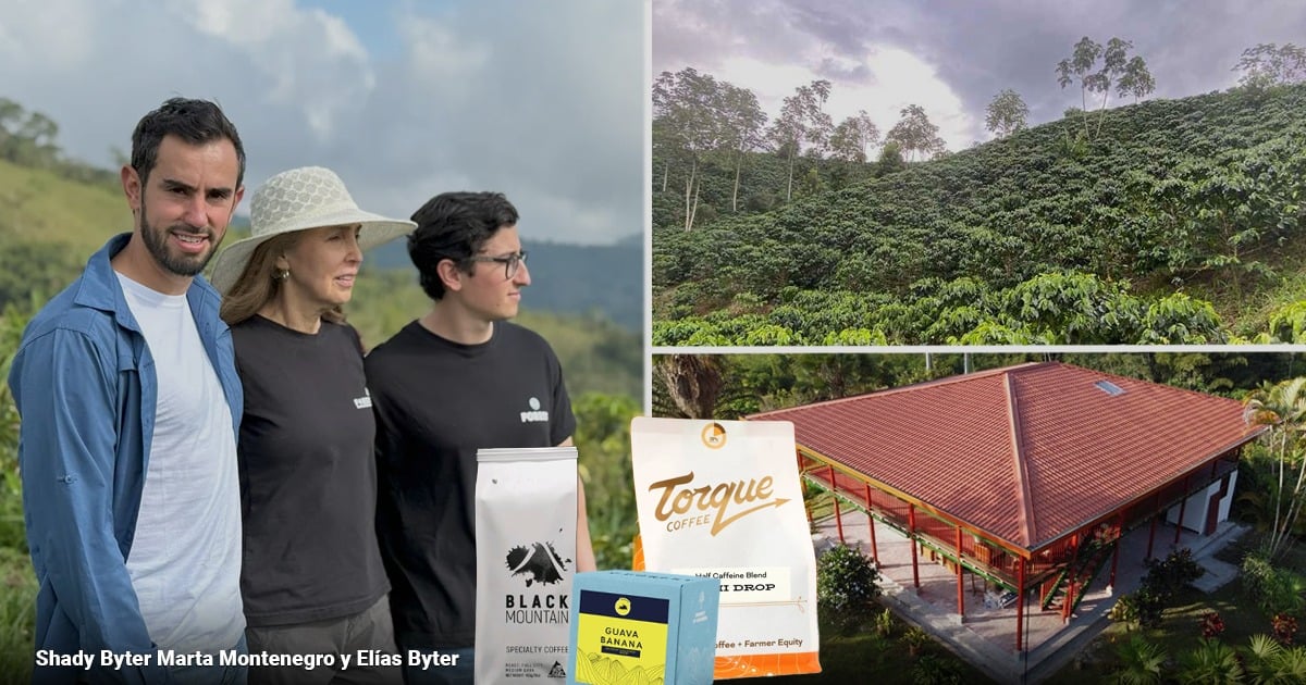 La familia tolimense que cambió sus fallidos cultivos de aguacate para mandar en la producción de café de alta calidad La familia tolimense que cambió sus fallidos cultivos de aguacate para mandar en la producción de café de alta calidad