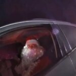 cazado a gran velocidad en un control