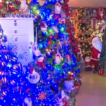 está en Alemania y cuenta con más de 600 árboles de navidad