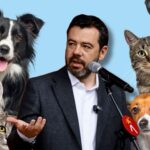 Galán anunció 7.000 cupos de esterilización gratis sin cita previa