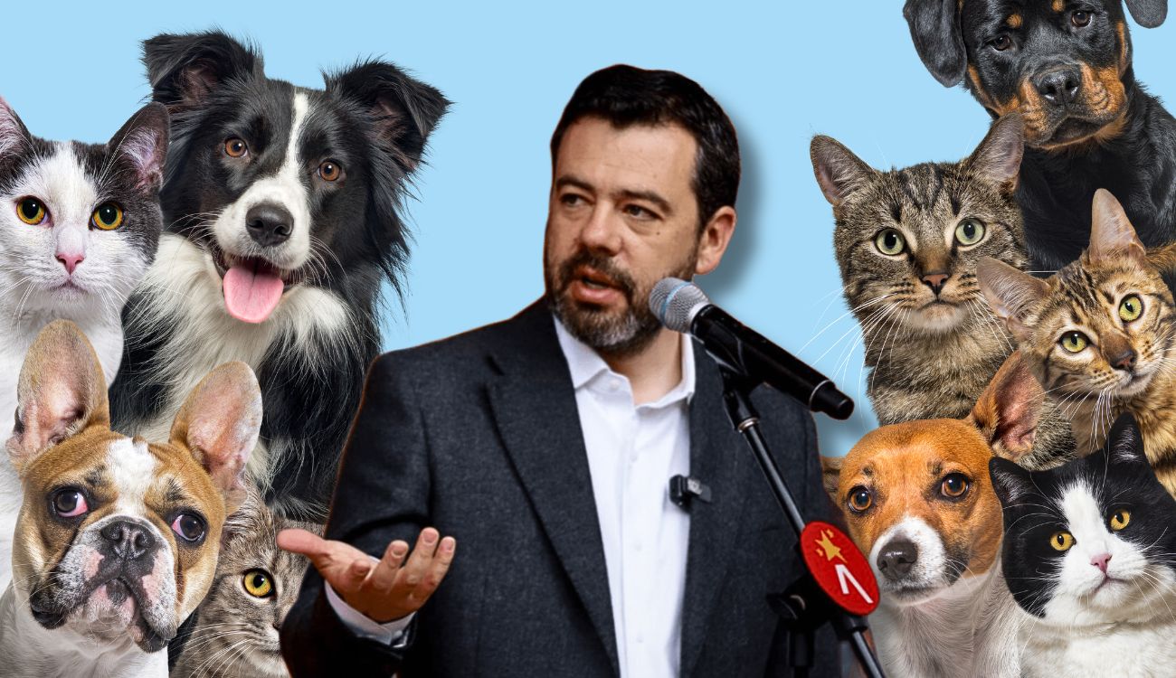 Galán anunció 7.000 cupos de esterilización gratis sin cita previa Galán anunció 7.000 cupos de esterilización gratis sin cita previa