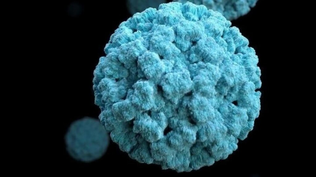 La nueva variante detrás de los casos de gastroenteritis aguda en adultos y ancianos (y cómo se diferencia de la clásica GII.4) La nueva variante detrás de los casos de gastroenteritis aguda en adultos y ancianos (y cómo se diferencia de la clásica GII.4)