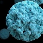 La nueva variante detrás de los casos de gastroenteritis aguda en adultos y ancianos (y cómo se diferencia de la clásica GII.4)