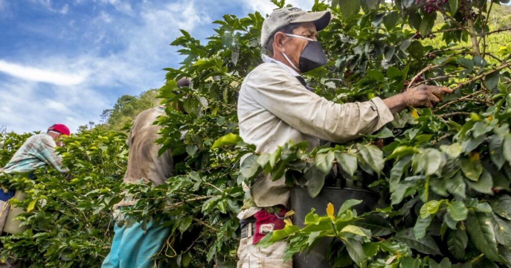 Antioquia: Petro estará en reapertura de la Cooperativa de Andes Antioquia: Petro estará en reapertura de la Cooperativa de Andes