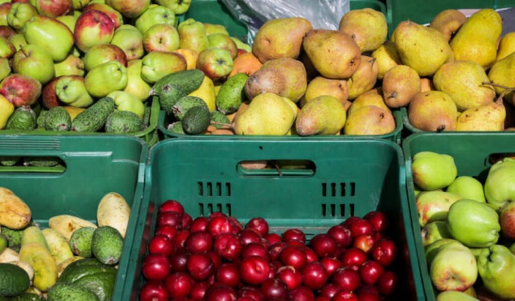 Precios en Corabastos hoy 2 de diciembre 2025: alimentos que más bajaron Precios en Corabastos hoy 2 de diciembre 2025: alimentos que más bajaron