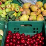 Precios en Corabastos hoy 2 de diciembre 2025: alimentos que más bajaron Precios en Corabastos hoy 2 de diciembre 2025: alimentos que más bajaron