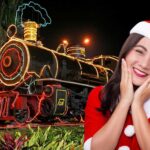 Tren de la Sabana en Navidad 2025: precios, horarios y recomendaciones Tren de la Sabana en Navidad 2025: precios, horarios y recomendaciones