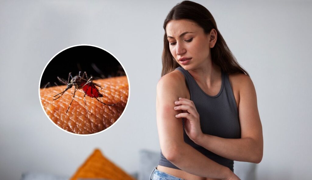 ¿Cuál es la vacuna contra el dengue y cómo se consigue en Colombia? ¿Cuál es la vacuna contra el dengue y cómo se consigue en Colombia?