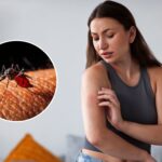 ¿Cuál es la vacuna contra el dengue y cómo se consigue en Colombia?