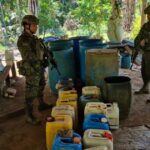 Noticias Antioquia: Destruidos 7 laboratorios de coca del Clan del Golfo