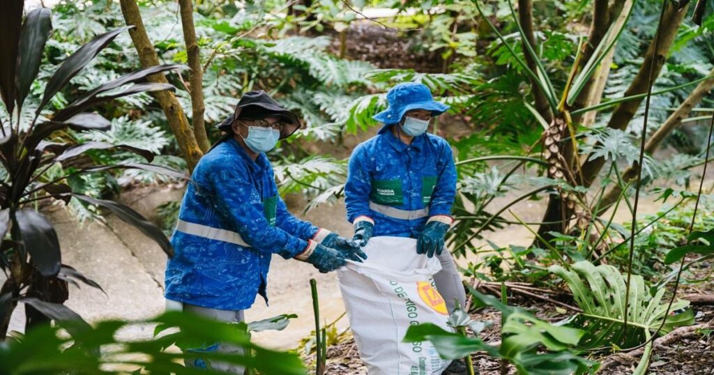 Noticias Medellín: Avanza en la recuperación y protección de sus quebradas