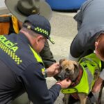 Noticias Antioquia: Bizcocho dejó atrás el dolor y ahora es policía