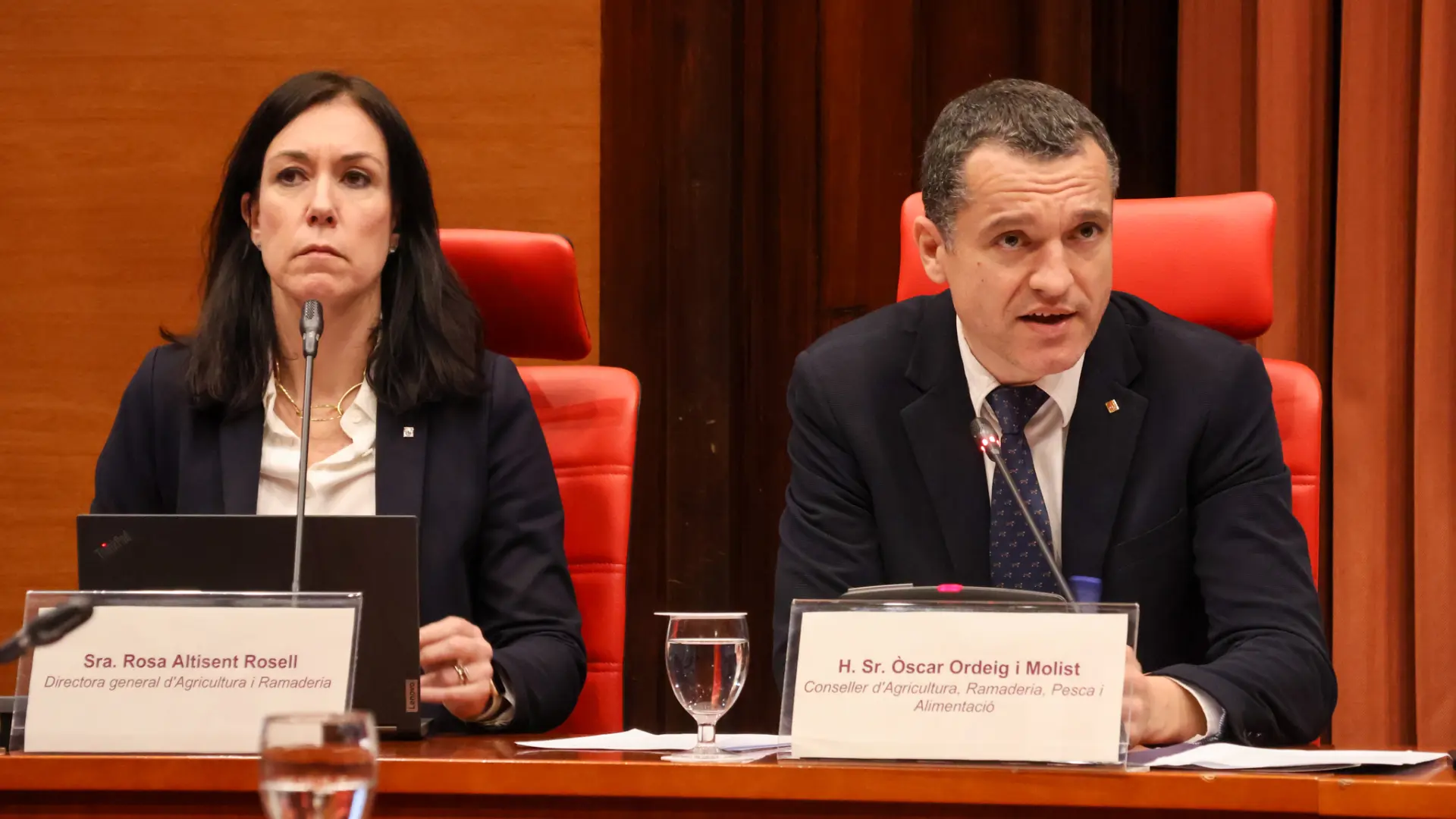 Catalunya flexibilizará en las próximas semanas las restricciones por peste porcina en 79 municipios