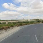 Muere la conductora de un vehículo al chocar contra un jabalí en la N-340 en L’Ampolla