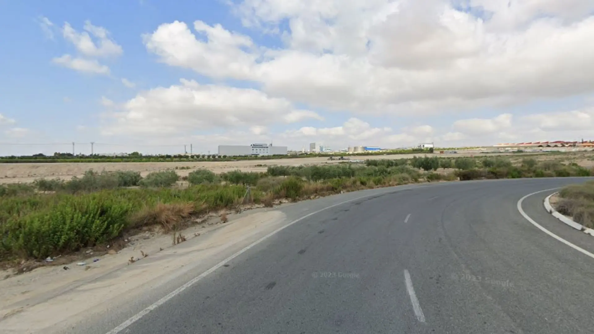 Muere la conductora de un vehículo al chocar contra un jabalí en la N-340 en L’Ampolla