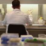 la clave está en una proteína la clave está en una proteína