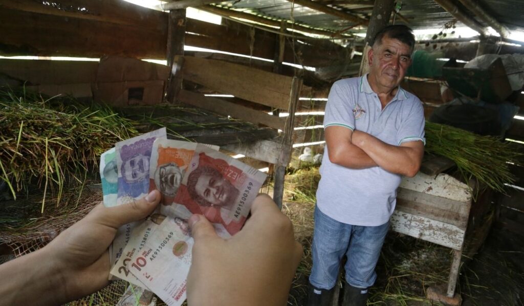 Campesinos y comerciantes reciben ayudas en 2026: Alcaldía lo hizo oficial Campesinos y comerciantes reciben ayudas en 2026: Alcaldía lo hizo oficial