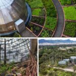 Cierre del Jardín Botánico de Bogotá en Año Nuevo: fechas y horarios Cierre del Jardín Botánico de Bogotá en Año Nuevo: fechas y horarios