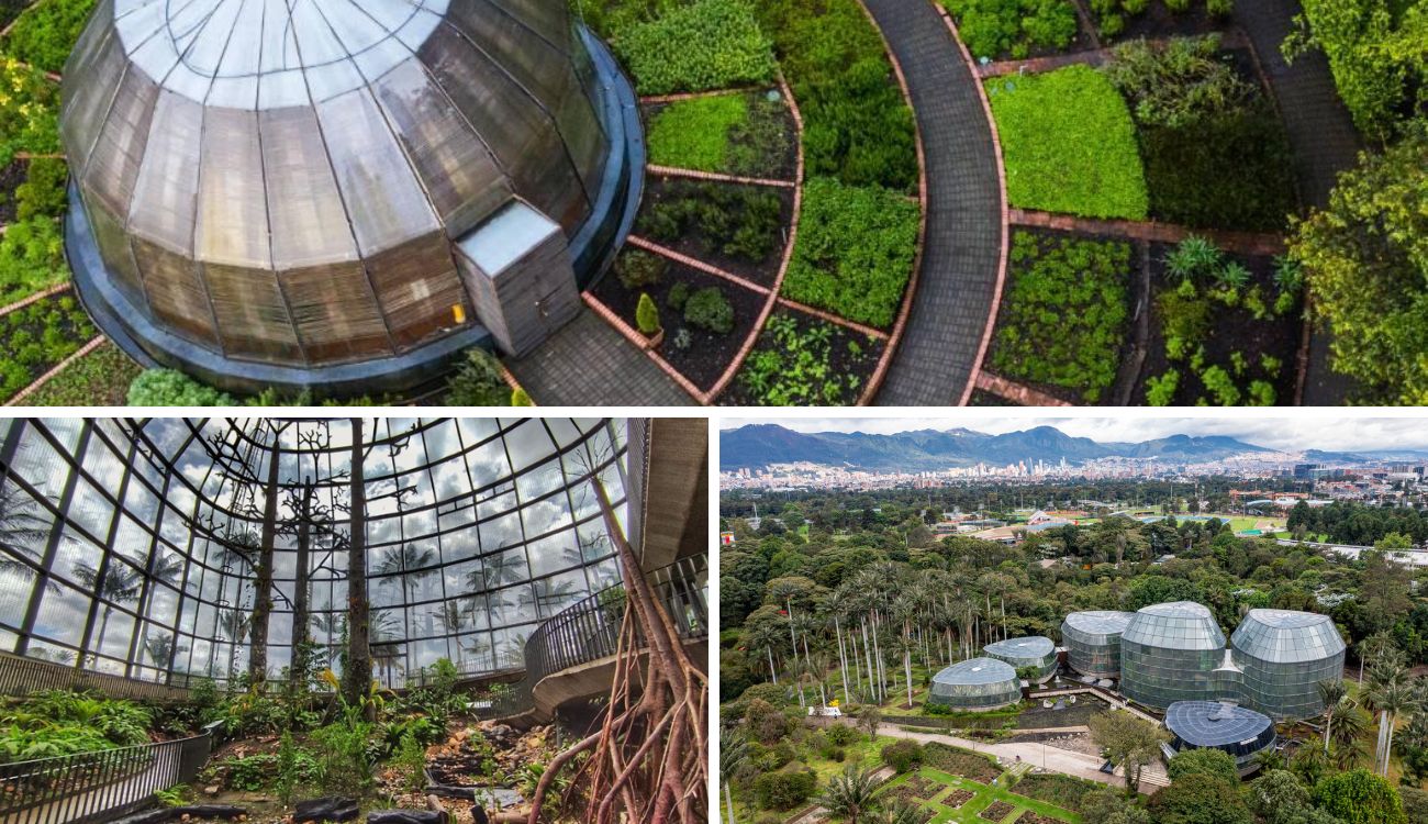 Cierre del Jardín Botánico de Bogotá en Año Nuevo: fechas y horarios Cierre del Jardín Botánico de Bogotá en Año Nuevo: fechas y horarios