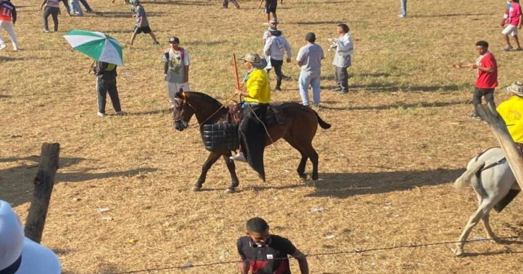 Autoridades de Caucasia, aseguran que cumplieron normativa en corralejas Autoridades de Caucasia, aseguran que cumplieron normativa en corralejas