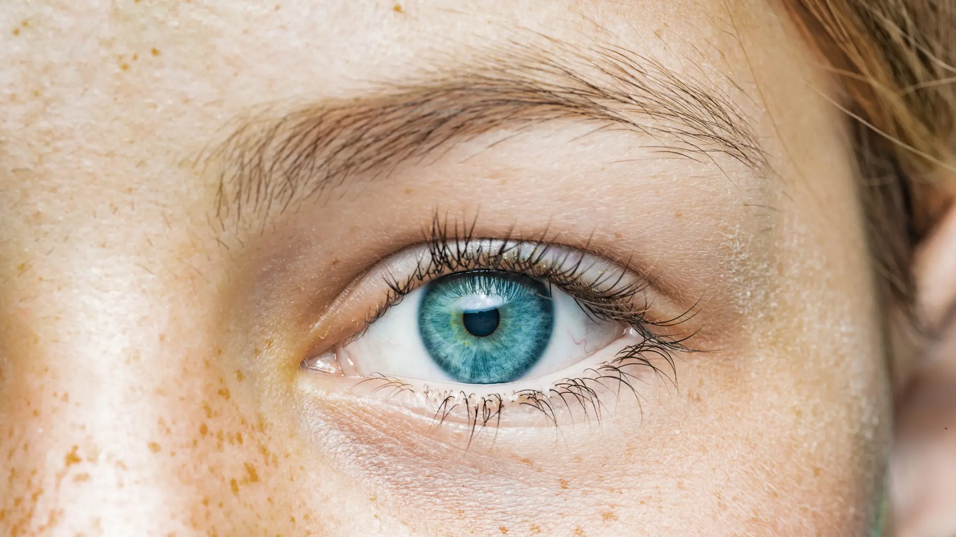 La retina podría ser una ‘ventana’ para el diagnóstico del alzhéimer