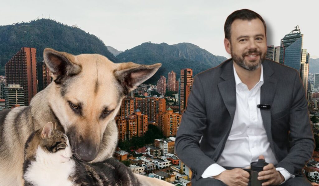 Usme: localidad del sur de Bogotá que encabezó la protección animal Usme: localidad del sur de Bogotá que encabezó la protección animal
