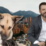 Usme: localidad del sur de Bogotá que encabezó la protección animal Usme: localidad del sur de Bogotá que encabezó la protección animal