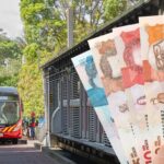 Pasajes gratis en TransMilenio: enero 2026 trae alivio para usuarios