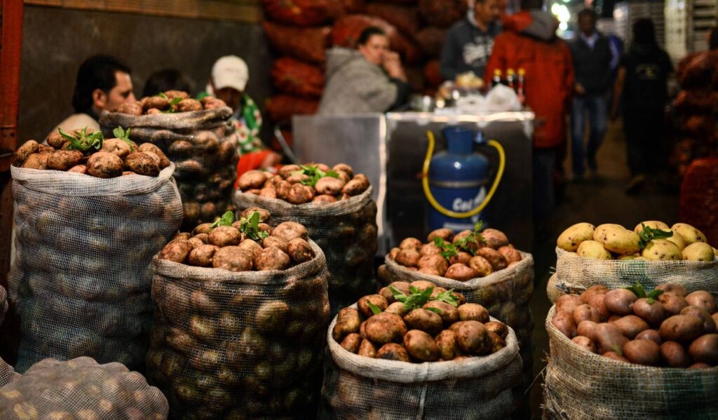 Precios en Corabastos este 8 de enero 2026: alimentos que más bajaron Precios en Corabastos este 8 de enero 2026: alimentos que más bajaron