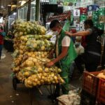 Precios en Corabastos este 14 de enero, 2026: alimentos que más bajaron HOY Precios en Corabastos este 14 de enero, 2026: alimentos que más bajaron HOY