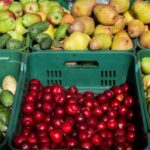 Precios en Corabastos este 13 de enero, 2026: alimentos que más bajaron HOY Precios en Corabastos este 13 de enero, 2026: alimentos que más bajaron HOY