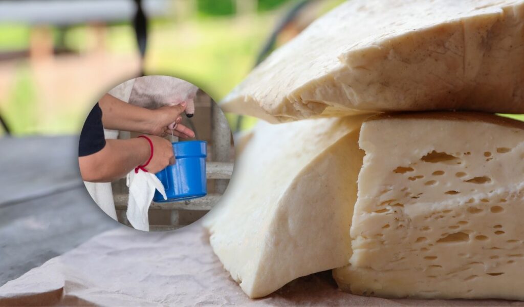 Primera ‘quesatón’ del 2026 en Bogotá: campesinos preparan sus productos Primera ‘quesatón’ del 2026 en Bogotá: campesinos preparan sus productos