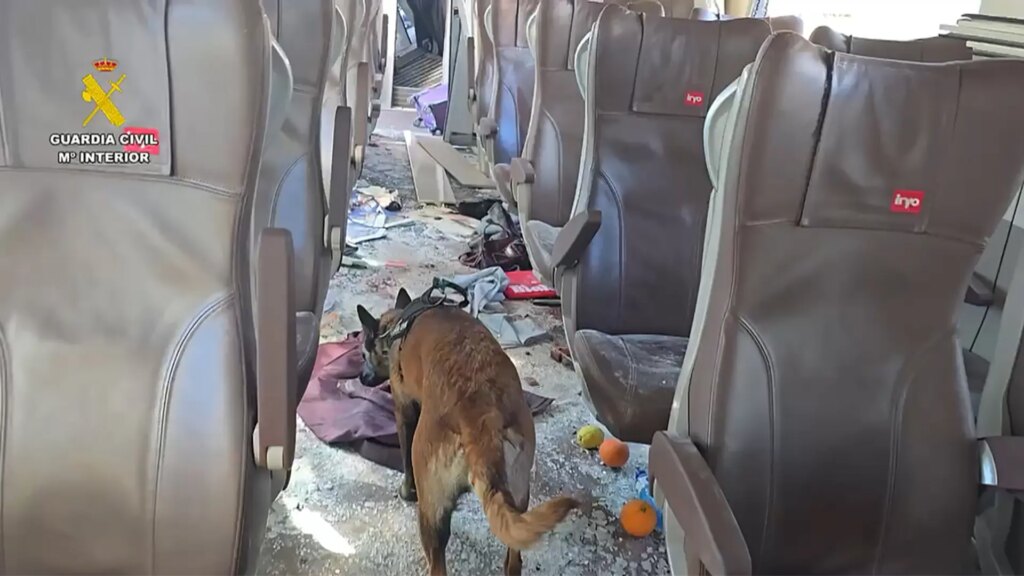 un vídeo muestra la devastación del interior de los vagones