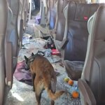 un vídeo muestra la devastación del interior de los vagones